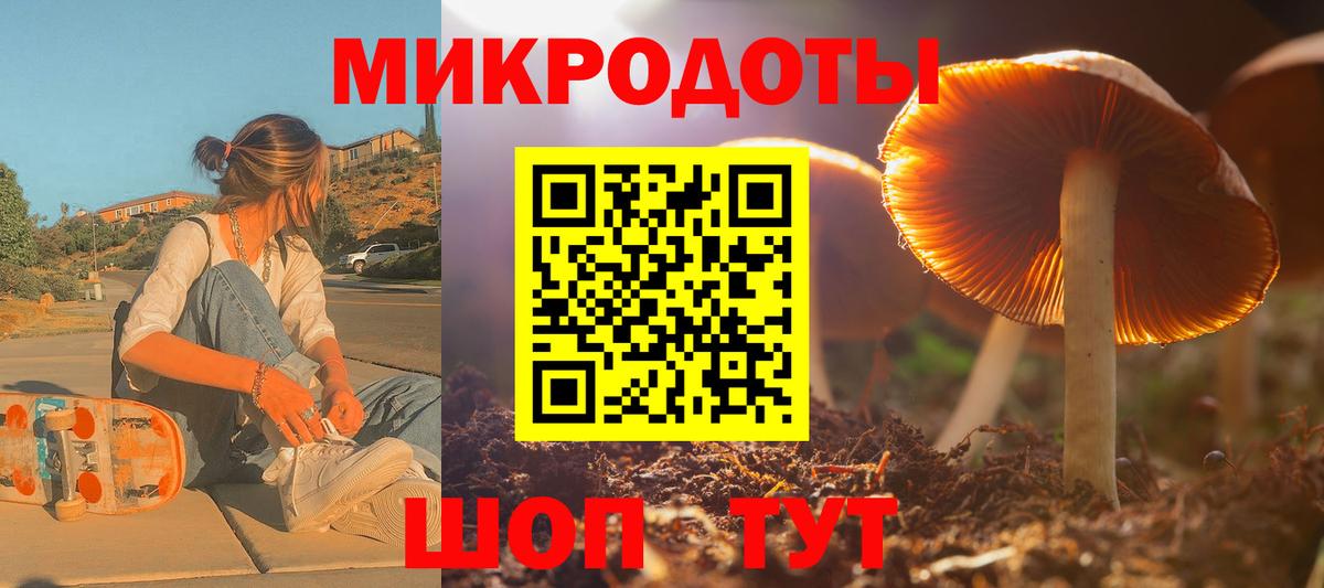 Псилоцибиновые грибы Psilocybe  Псилоцибиновые грибы MAGIC MUSHROOMS  Северобайкальск  где можно купить наркотик  Вход с VPN 